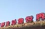 杭州以太坊群(以太坊最高涨到多少一枚) 杭州以太坊群(以太坊最高涨到多少一枚)